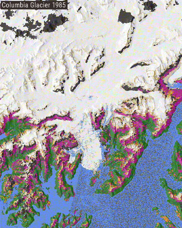Example area showing LCMS land cover changing over the Columbia Glacier
