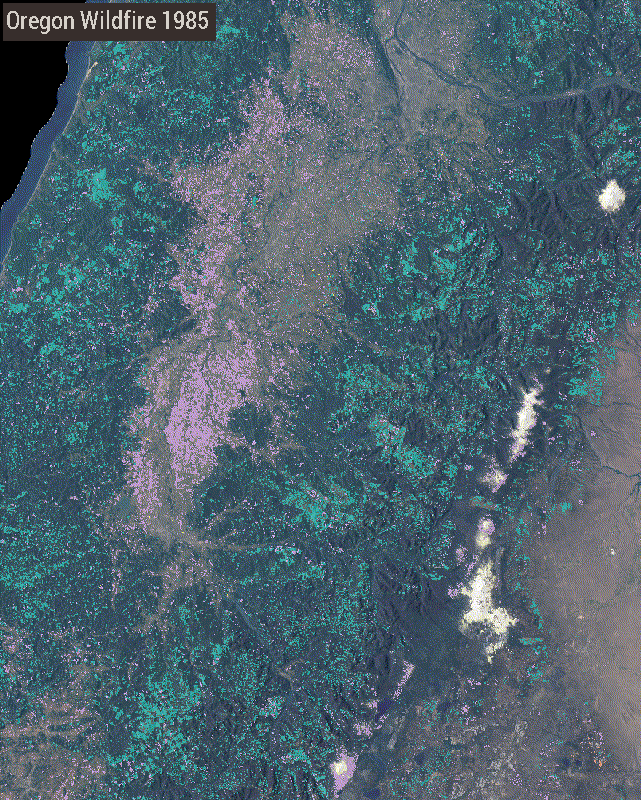 Example area showing LCMS Change over Oregon