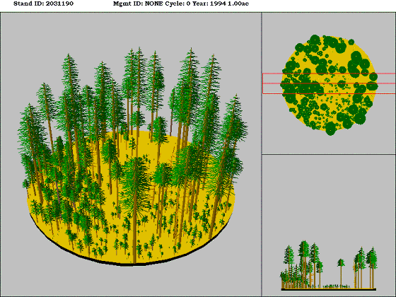 Ponderosa Pine/Douglas-fir Forest