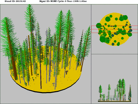 Southwest Oregon Mixed Conifer-Hardwood Forest