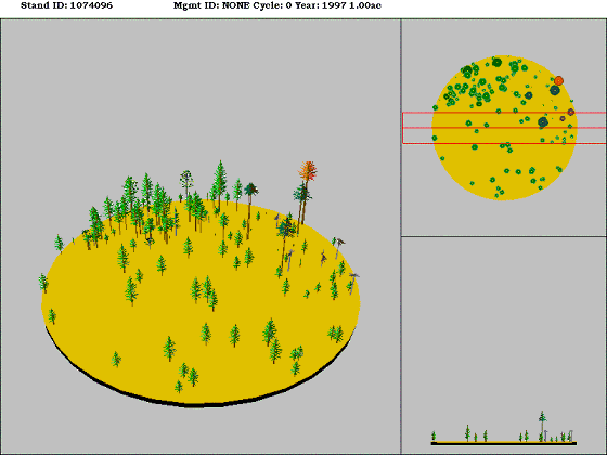 [Figure]: Diagram from the Stand Visualization Simulator (SVS) depicting vegetation on stand 1074096.