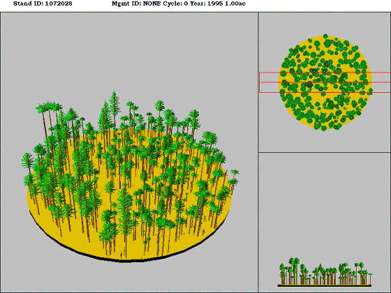 [Figure]: Diagram from the Stand Visualization Simulator (SVS) depicting vegetation on stand 1072028.