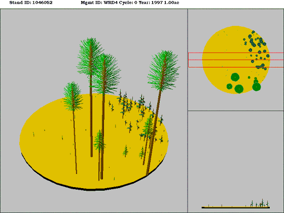 [Figure]: Diagram from the Stand Visualization Simulator (SVS) depicting vegetation on stand 1046052.