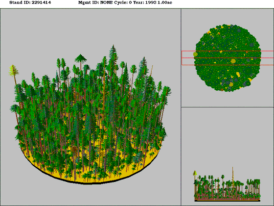 [Figure]: Diagram from the Stand Visualization Simulator (SVS) depicting vegetation on stand 2291414.