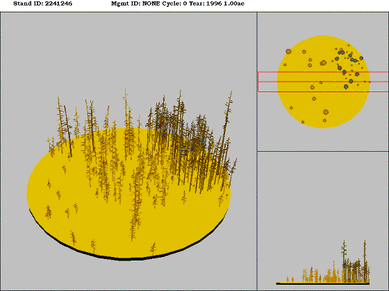 [Figure]: Diagram from the Stand Visualization Simulator (SVS) depicting vegetation on stand 2241246.