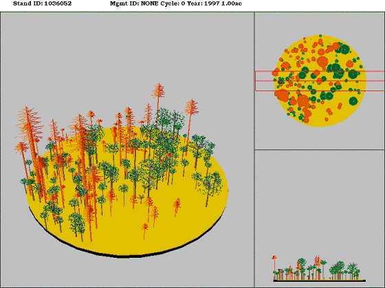 [Figure]: Diagram from the Stand Visualization Simulator (SVS) depicting vegetation on stand 1036052.