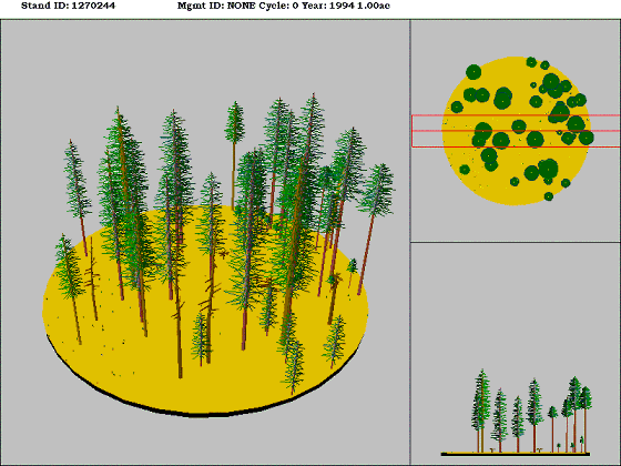 [Figure]: Diagram from the Stand Visualization Simulator (SVS) depicting vegetation on stand 1270244.