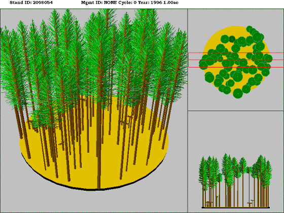 [Figure]: Diagram from the Stand Visualization Simulator (SVS) depicting vegetation on stand 2098054.