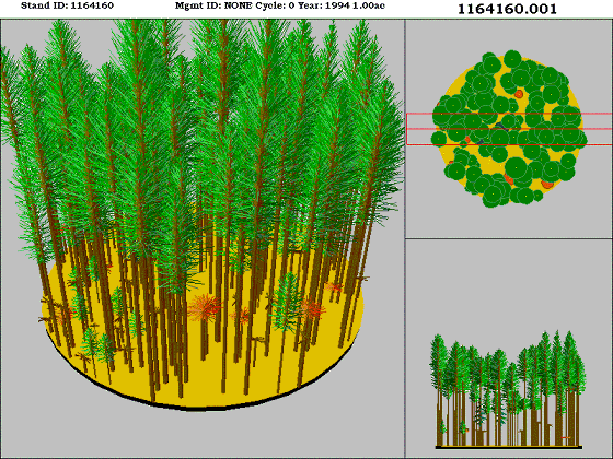 [Figure]: Diagram from the Stand Visualization Simulator (SVS) depicting vegetation on stand 1164160.