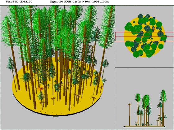[Figure]: Diagram from the Stand Visualization Simulator (SVS) depicting vegetation on stand 2082130.