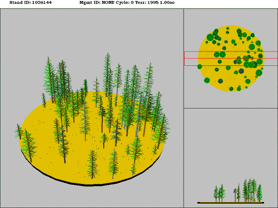 [Figure]: Diagram from the Stand Visualization Simulator (SVS) depicting vegetation on stand 1036144.
