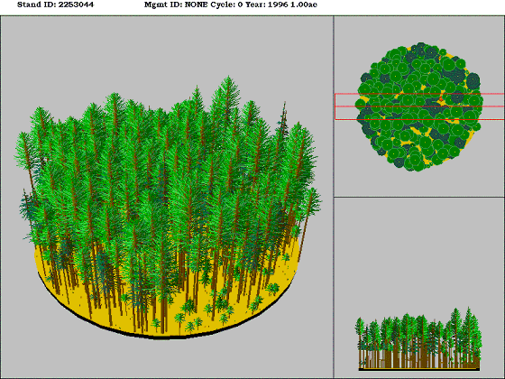 [Figure]: Diagram from the Stand Visualization Simulator (SVS) depicting vegetation on stand 2253044.