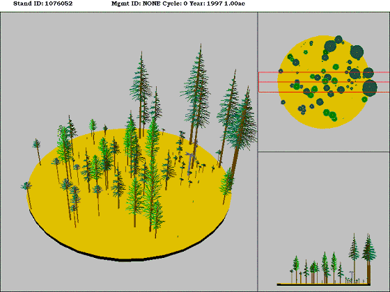 [Figure]: Diagram from the Stand Visualization Simulator (SVS) depicting vegetation on stand 1076052.