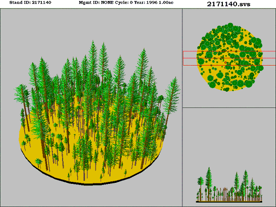 [Figure]: Diagram from the Stand Visualization Simulator (SVS) depicting vegetation on stand 2171140.