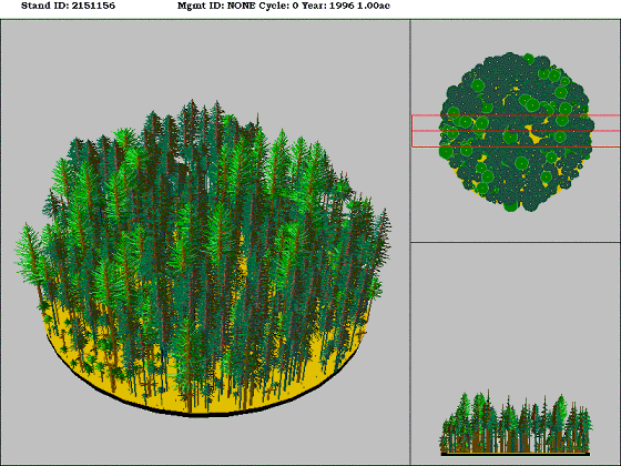 [Figure]: Diagram from the Stand Visualization Simulator (SVS) depicting vegetation on stand 2151156.