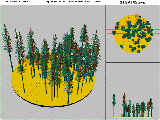 [Figure]: Diagram from the Stand Visualization Simulator (SVS) depicting vegetation on stand 2158142.