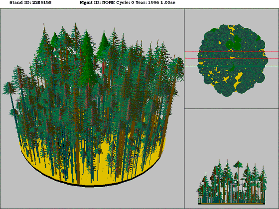 [Figure]: Diagram from the Stand Visualization Simulator (SVS) depicting vegetation on stand 2289158.